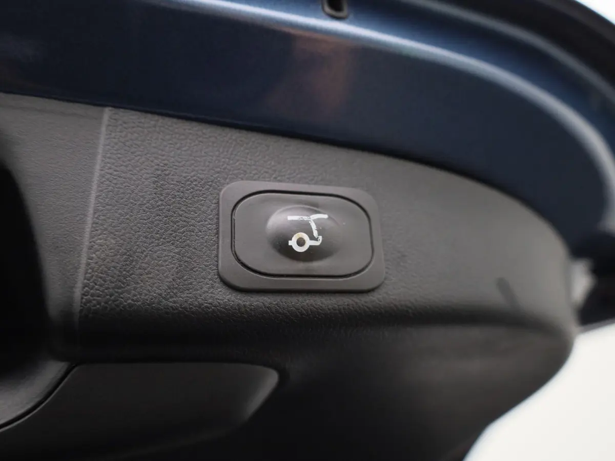 1.0 EcoBoost Active X Business | Apple Carplay/Android Auto | Achteruitrijcamera | Cruise Control | Winterpakket | Lichtmetalen Velgen |