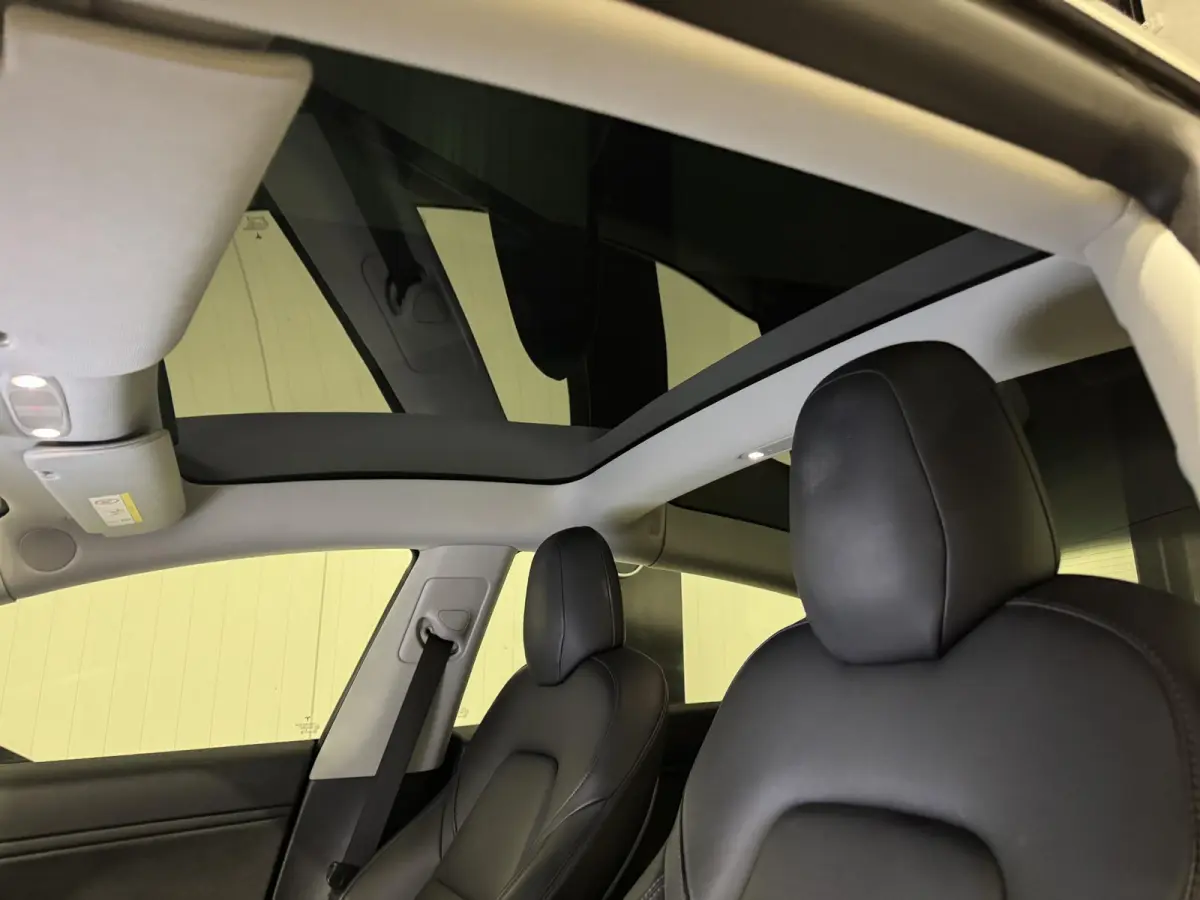 Standard RWD Plus 60 kWh | panorama | leder |
