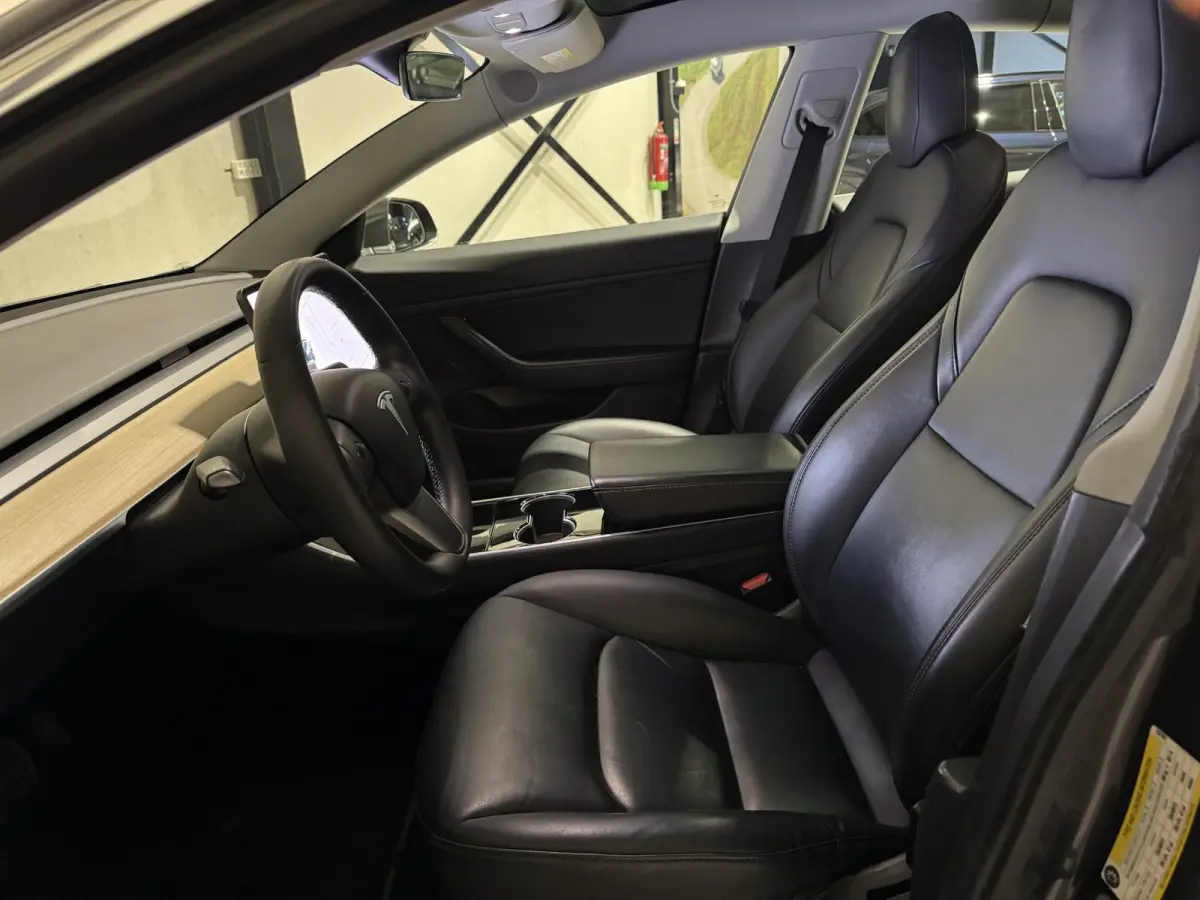 Standard RWD Plus 60 kWh | panorama | leder |
