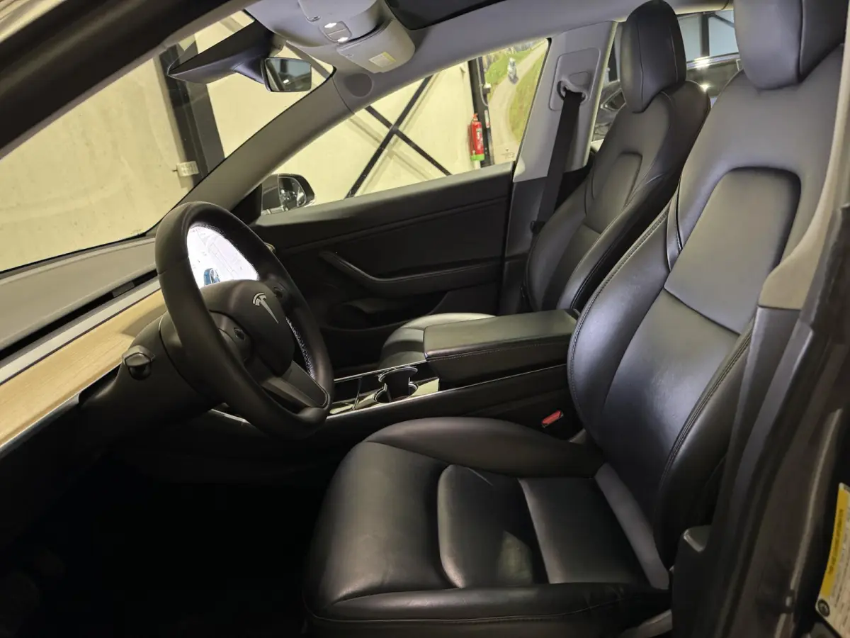 Standard RWD Plus 60 kWh | panorama | leder |