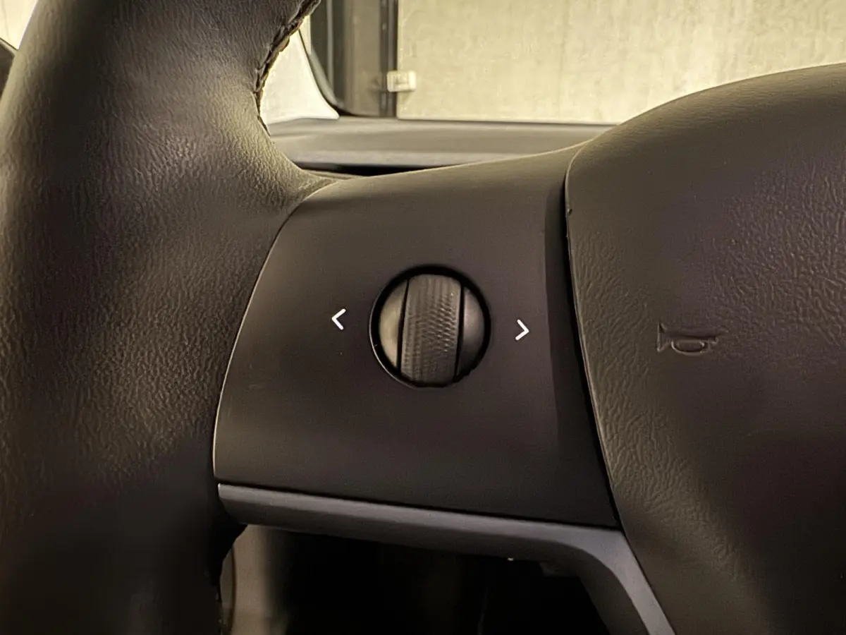 Standard RWD Plus 60 kWh | panorama | leder |