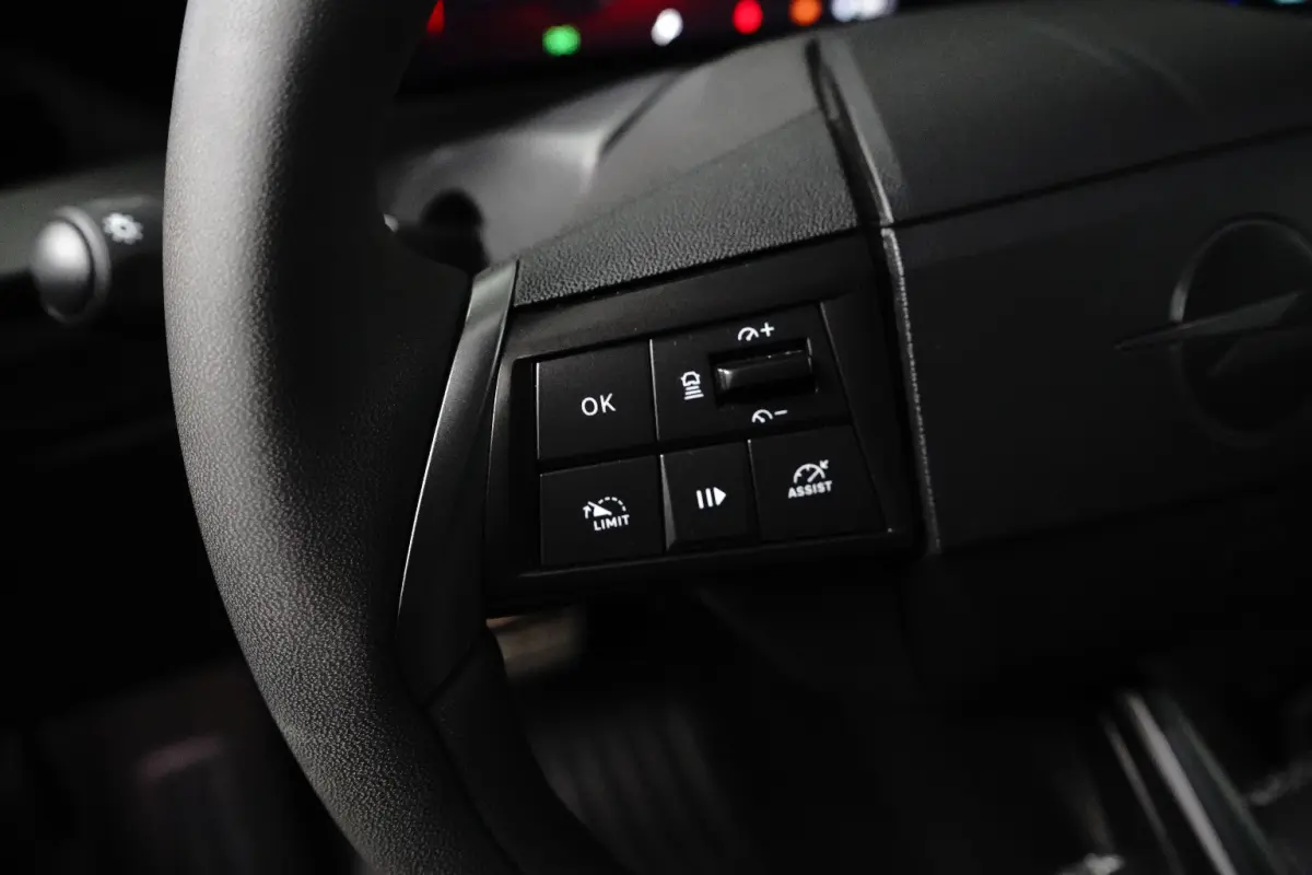 GS 54 kWh | Navi | Camera | stuurverw. | LMV 18"| Parkeersens. V+A | AD. Cruise control | Zwarte Hemel |