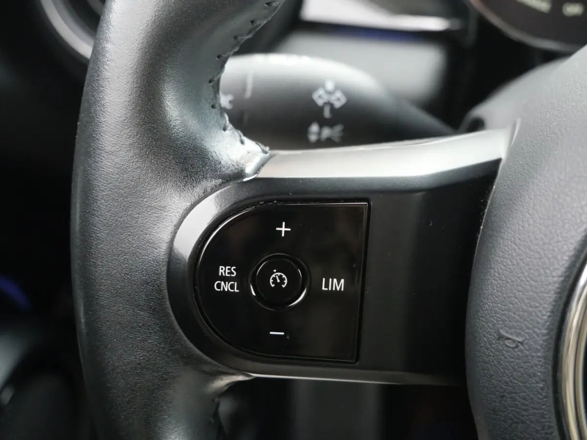 Business Edition 33 kWh Automaat Navigatie / LED / Apple Carplay / SOH 95,9%