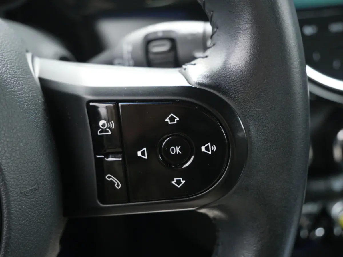 Business Edition 33 kWh Automaat Navigatie / LED / Apple Carplay / SOH 95,9%
