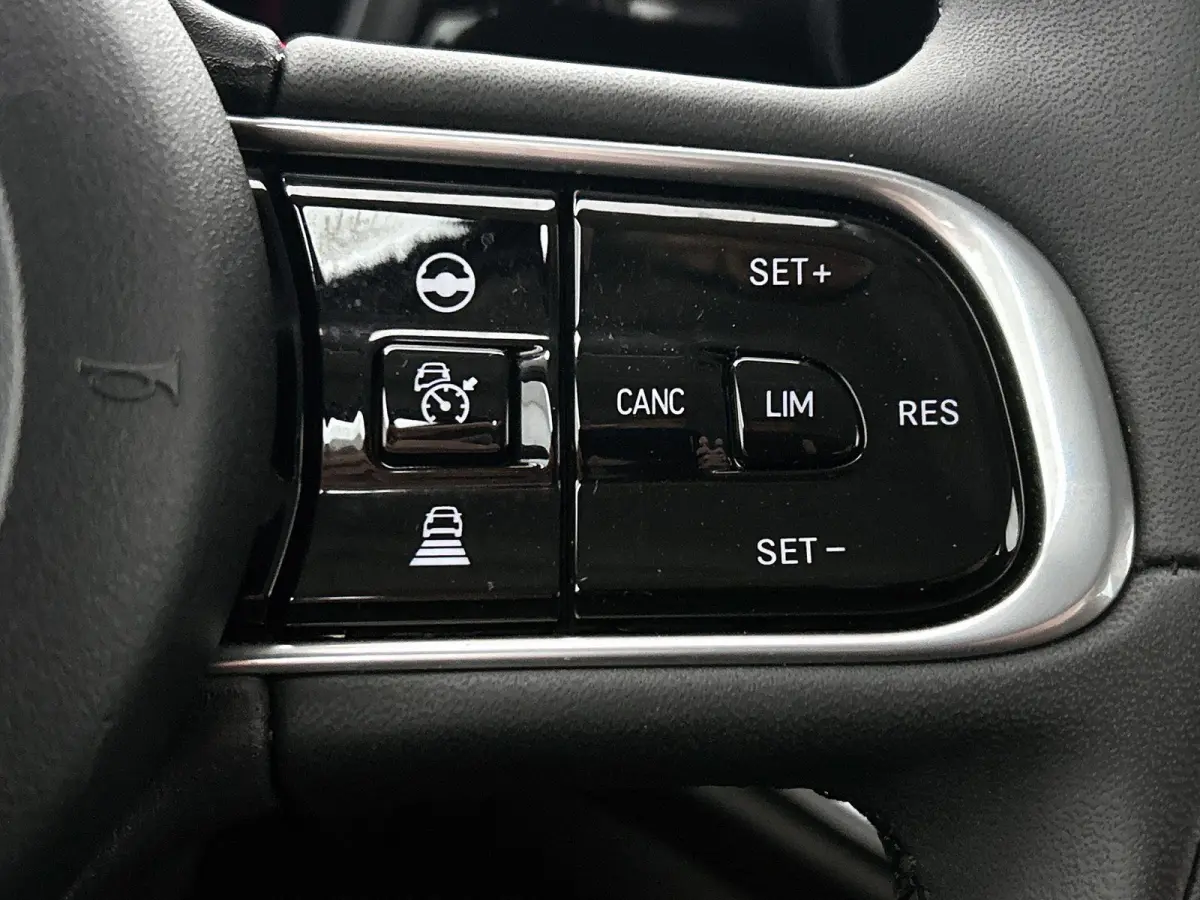 Passion 42 kWh | PDC V+A | Camera | Apple Carplay/Android Auto |