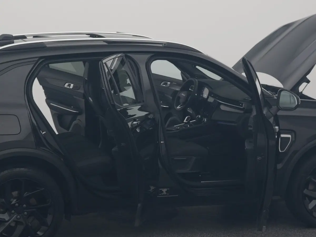 1.5 Plug-in Hybrid | 360° | BLACK | ZWARTE HEMEL | NLD AUTO