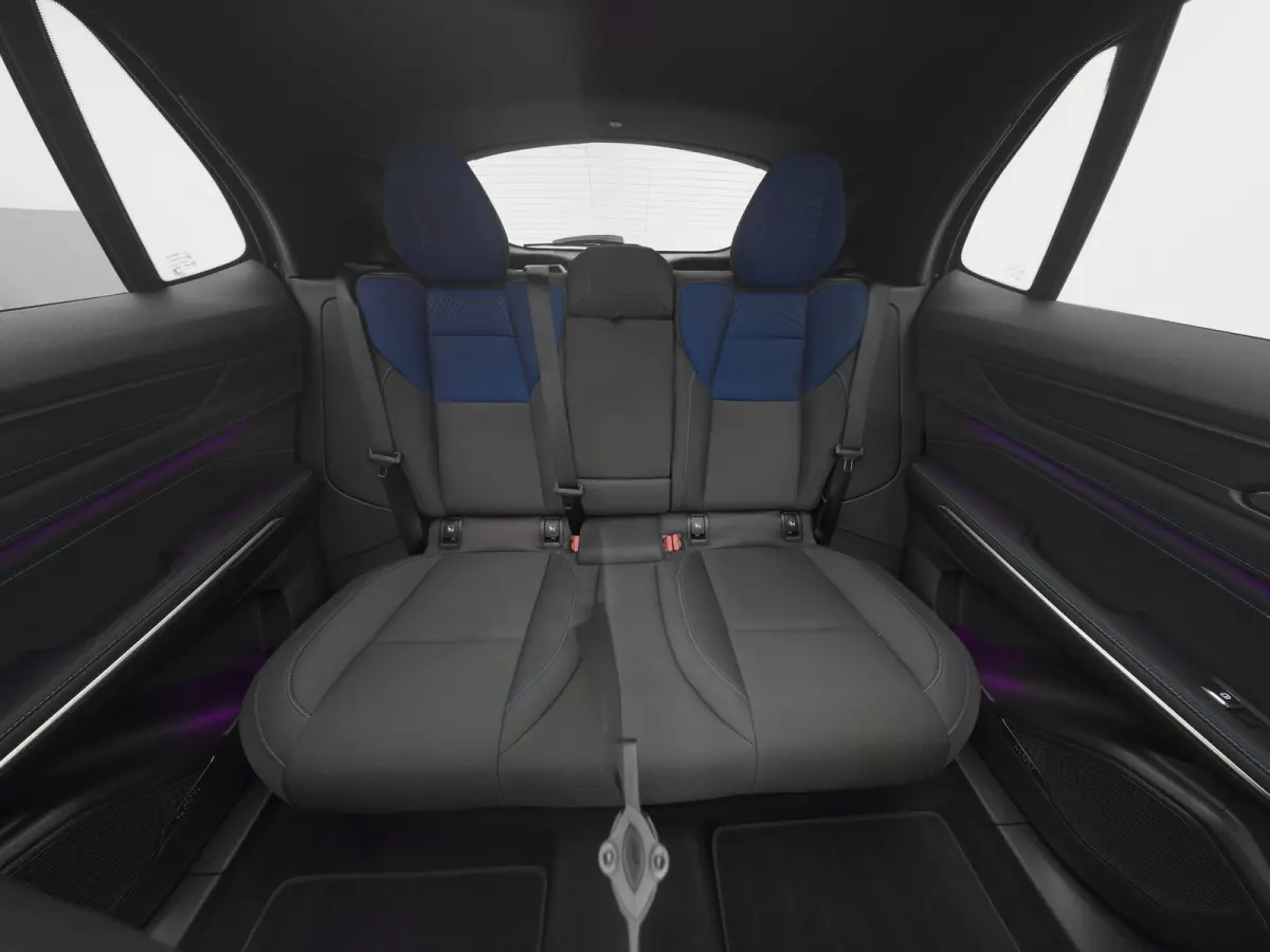 1.5 Plug-in Hybrid | 360° | BLACK | ZWARTE HEMEL | NLD AUTO