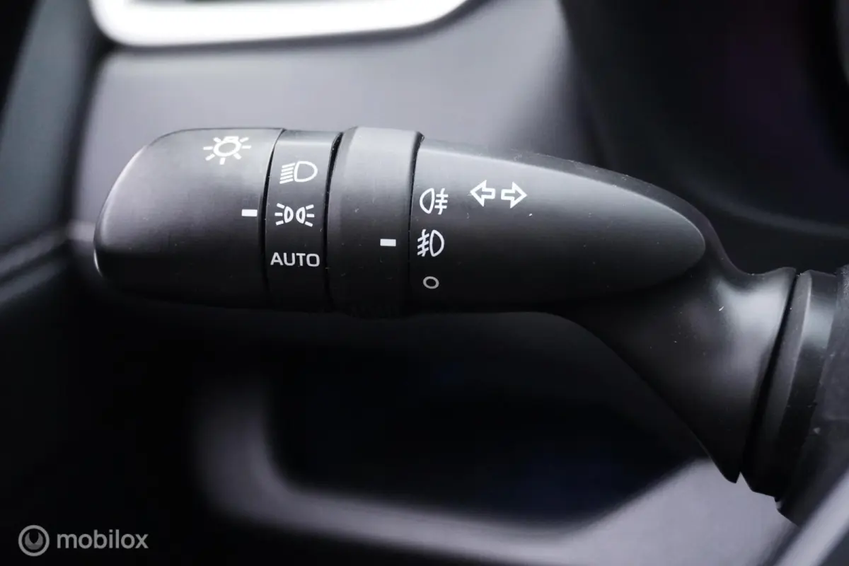 2.5 Hybrid Executive