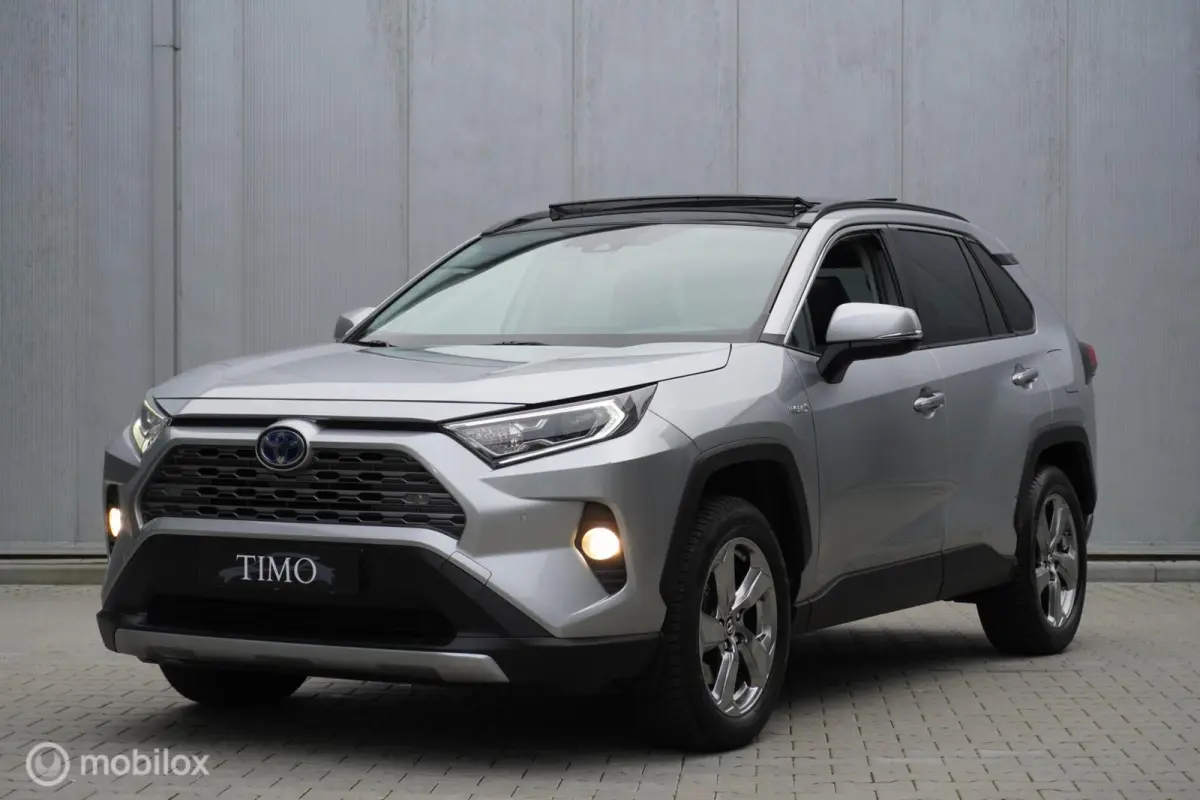 2.5 Hybrid Executive
