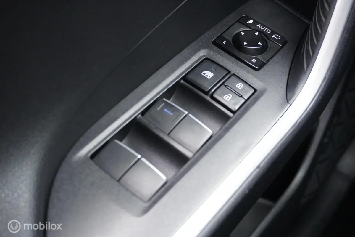 2.5 Hybrid Executive