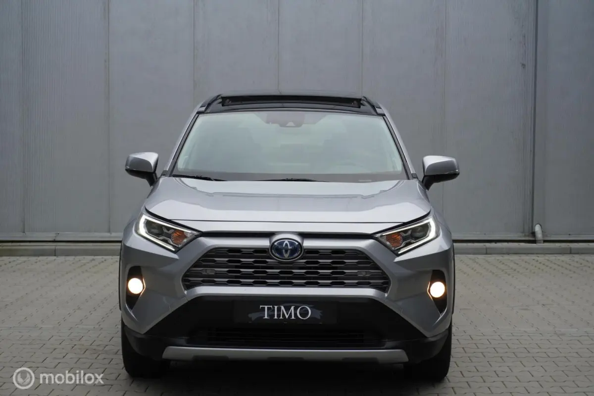 2.5 Hybrid Executive