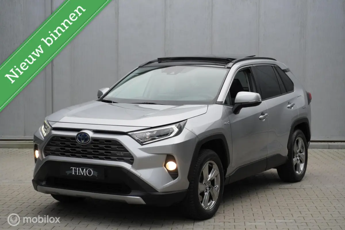 2.5 Hybrid Executive