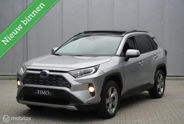 2.5 Hybrid Executive