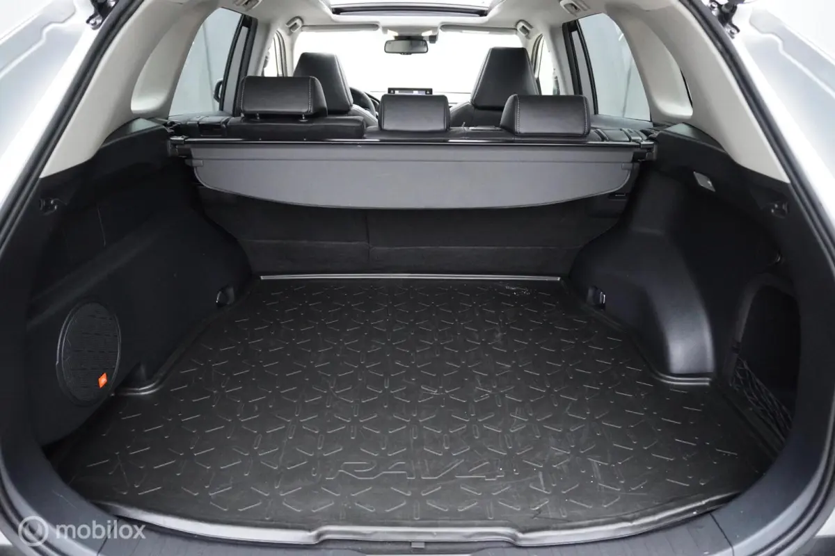2.5 Hybrid Executive