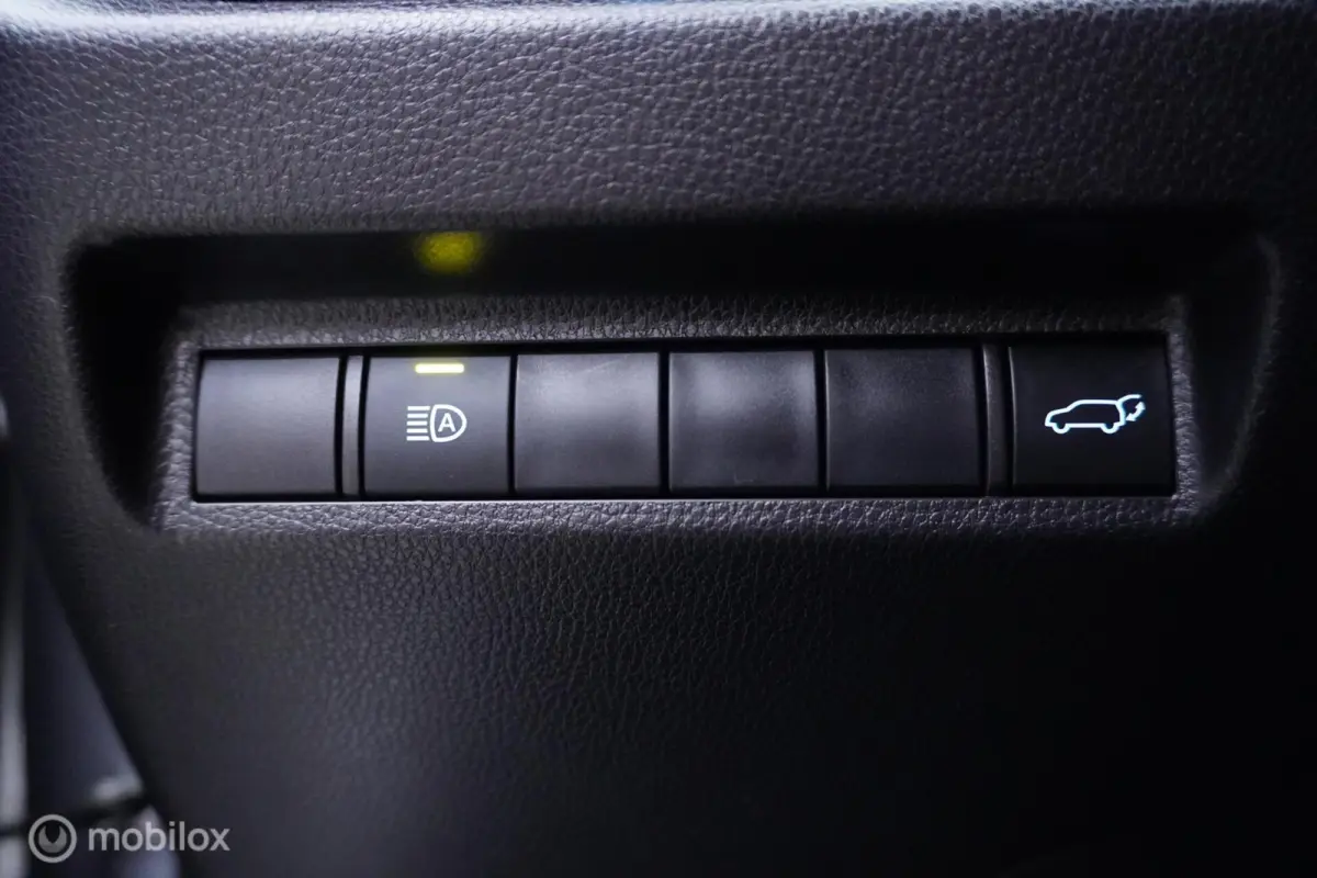 2.5 Hybrid Executive