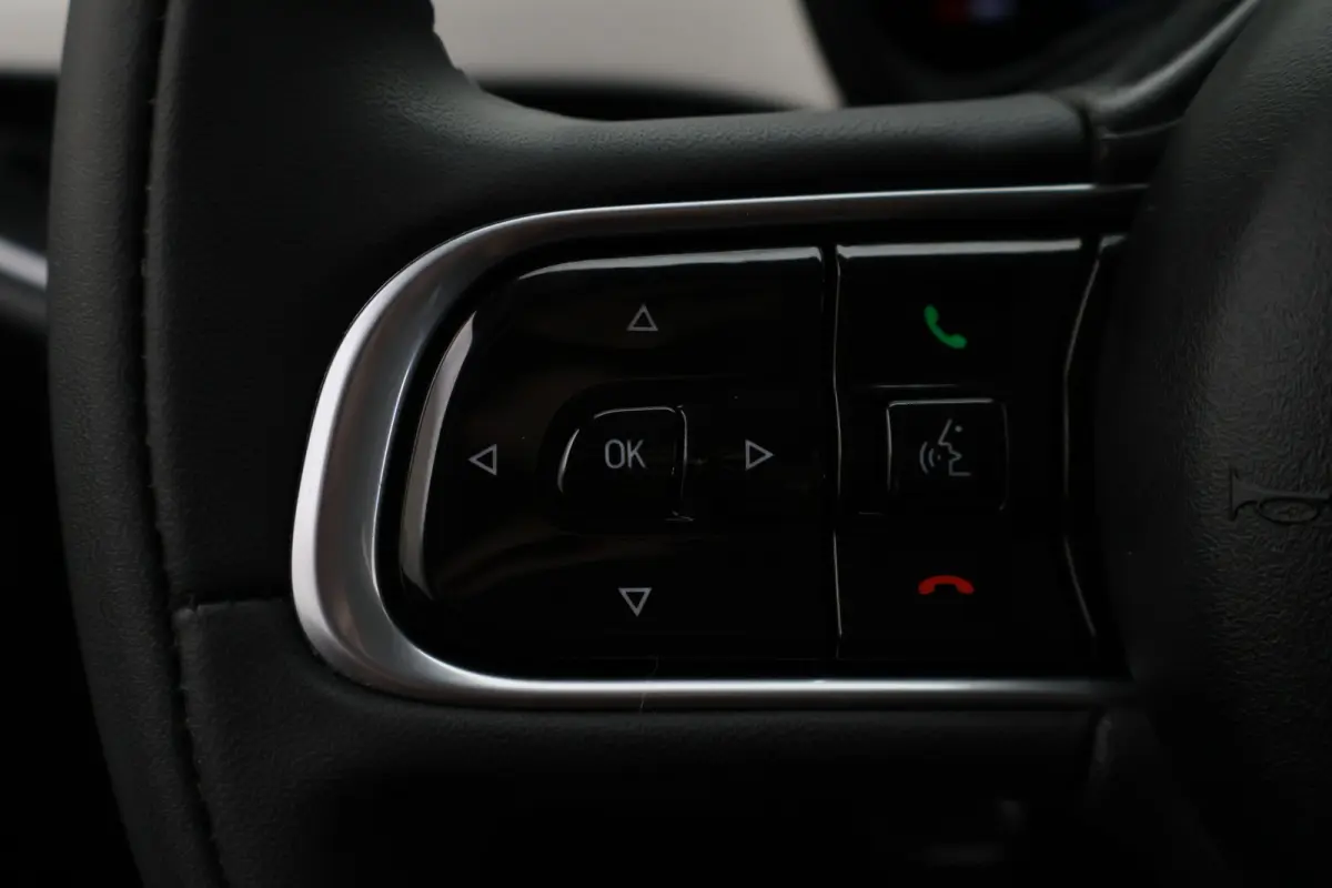 Icon 42 kWh SOH 100%, Virtual Cockpit, Apple Carplay, Cruise, Rijstrooksensor, DAB, LED