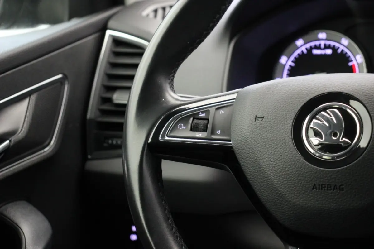 1.5 TSI ACT Business Edition Automaat - Trekhaak, Carplay, Camera, Clima, Stoelverw.