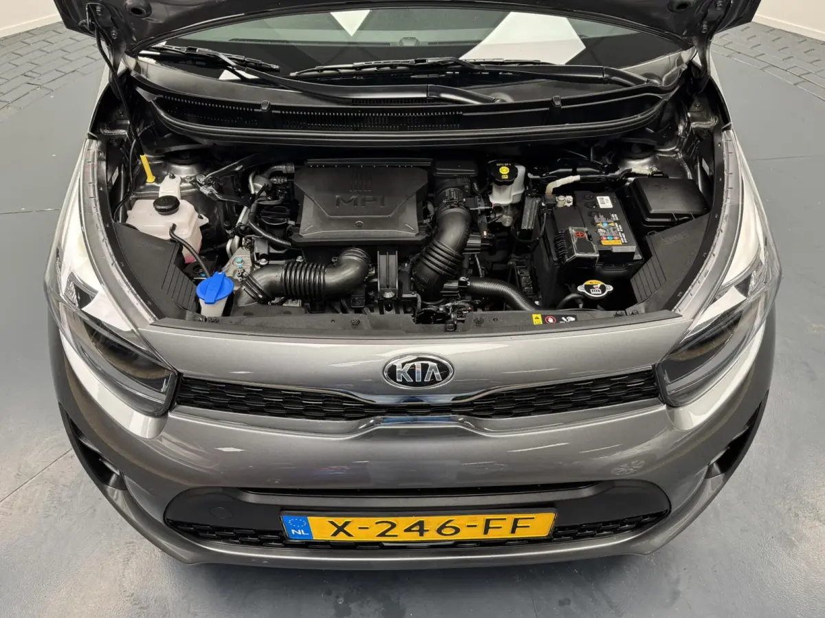 1.0 DPi ComfortLine Airco-Cr.contr-Carplay-Camera-Lm14''velgen-Elek.ramen-Elek.spiegels