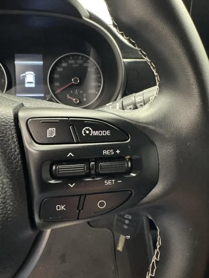 1.0 DPi ComfortLine Airco-Cr.contr-Carplay-Camera-Lm14''velgen-Elek.ramen-Elek.spiegels