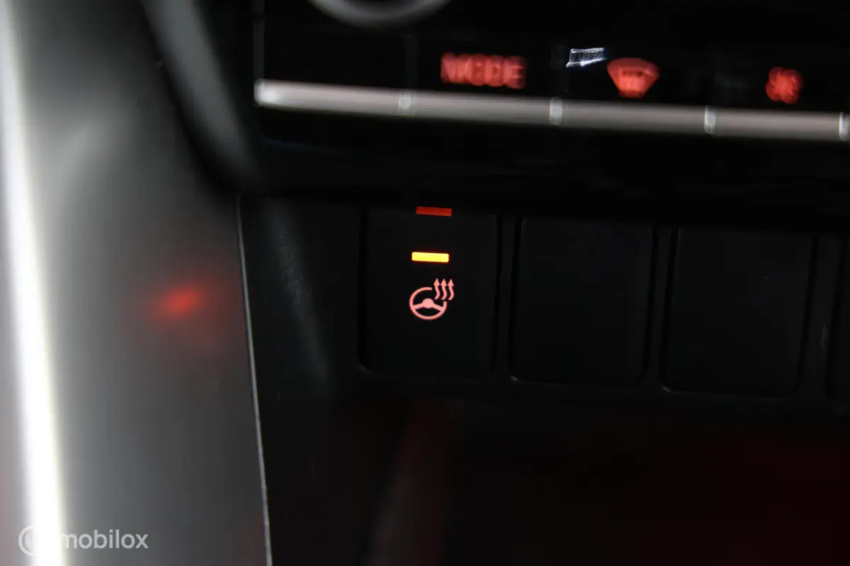 2.4 PHEV Executive - Stuur/Stoelverwarming - 360 Camera - Carplay
