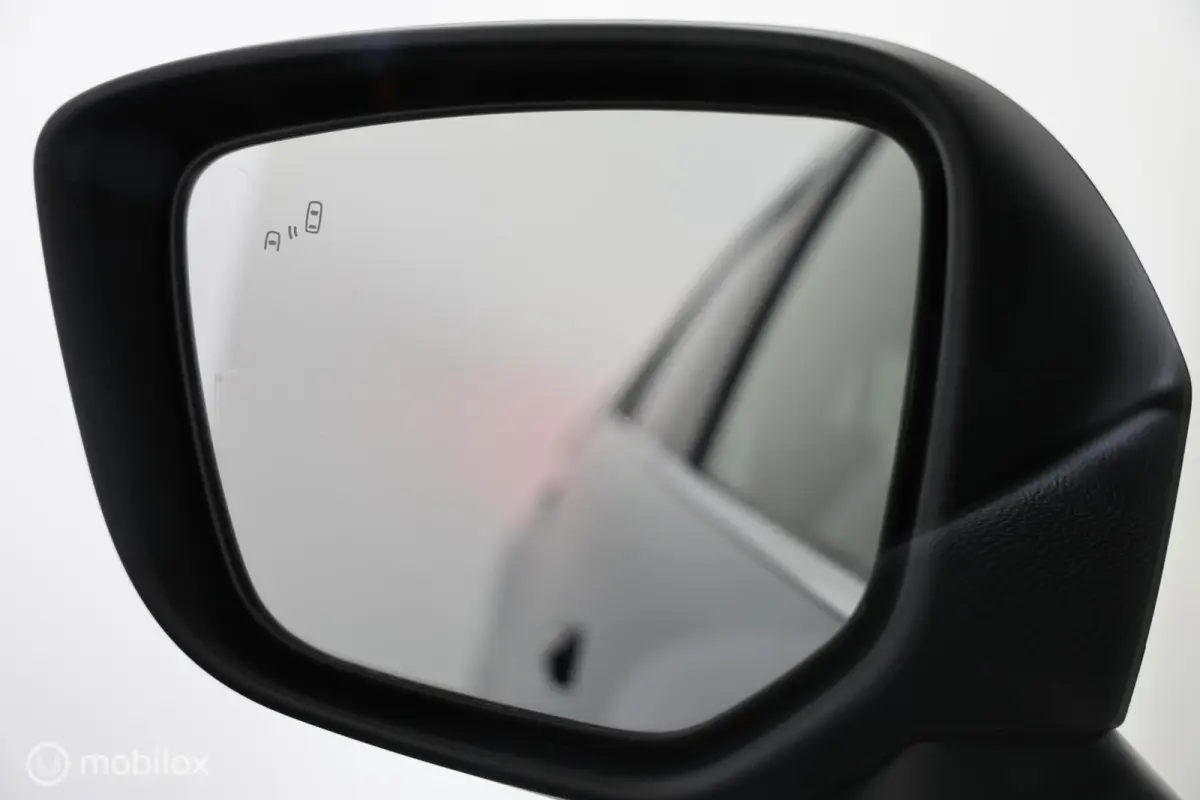 2.4 PHEV Executive - Stuur/Stoelverwarming - 360 Camera - Carplay
