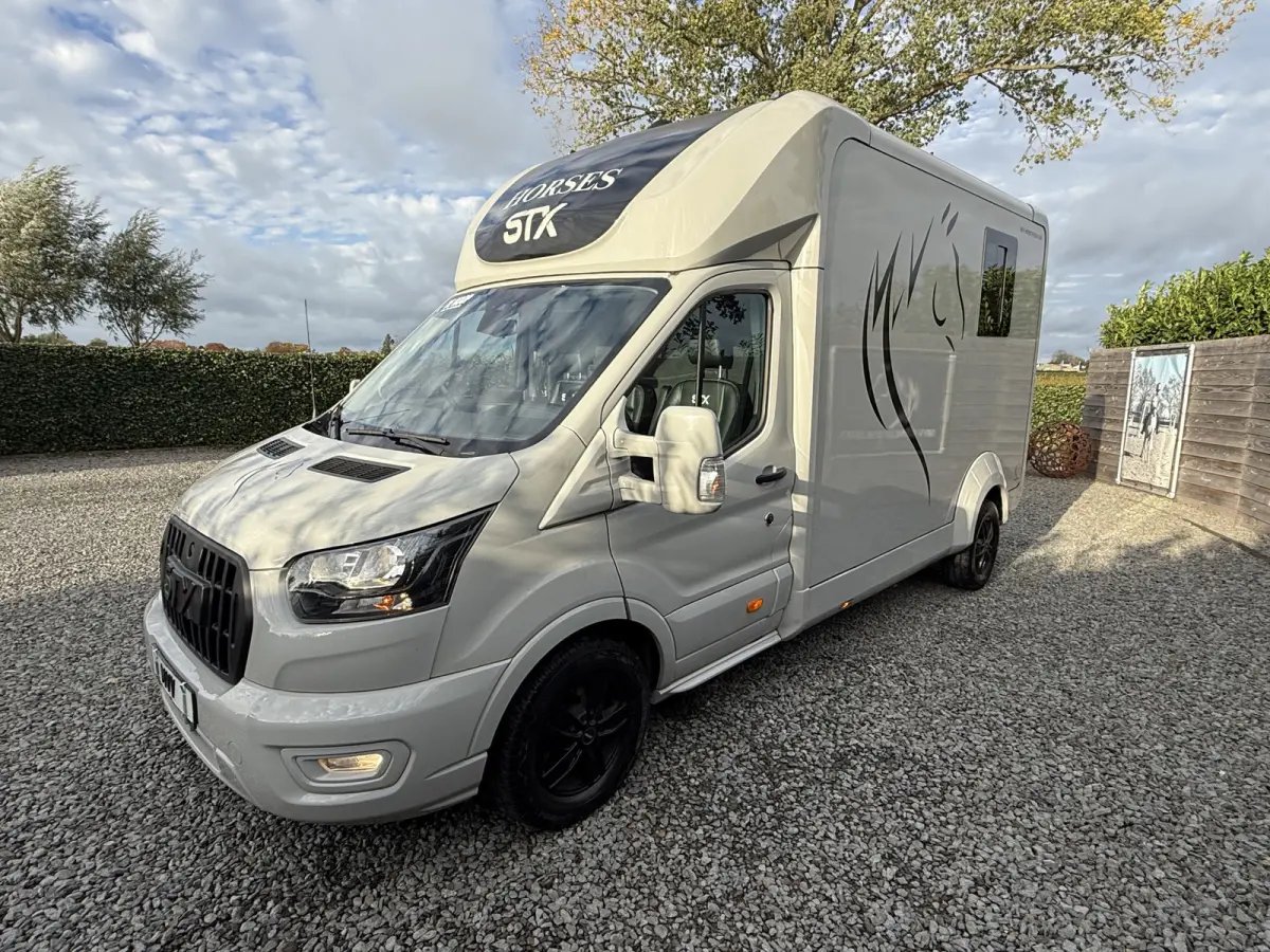 | HORSETRUCK | STX | STALLION 3XL | 2024 | AUTOMATIC | EURO 6 | HENGST | L3 | 42.423KM | LUXE | BELGISCH KENTEKEN