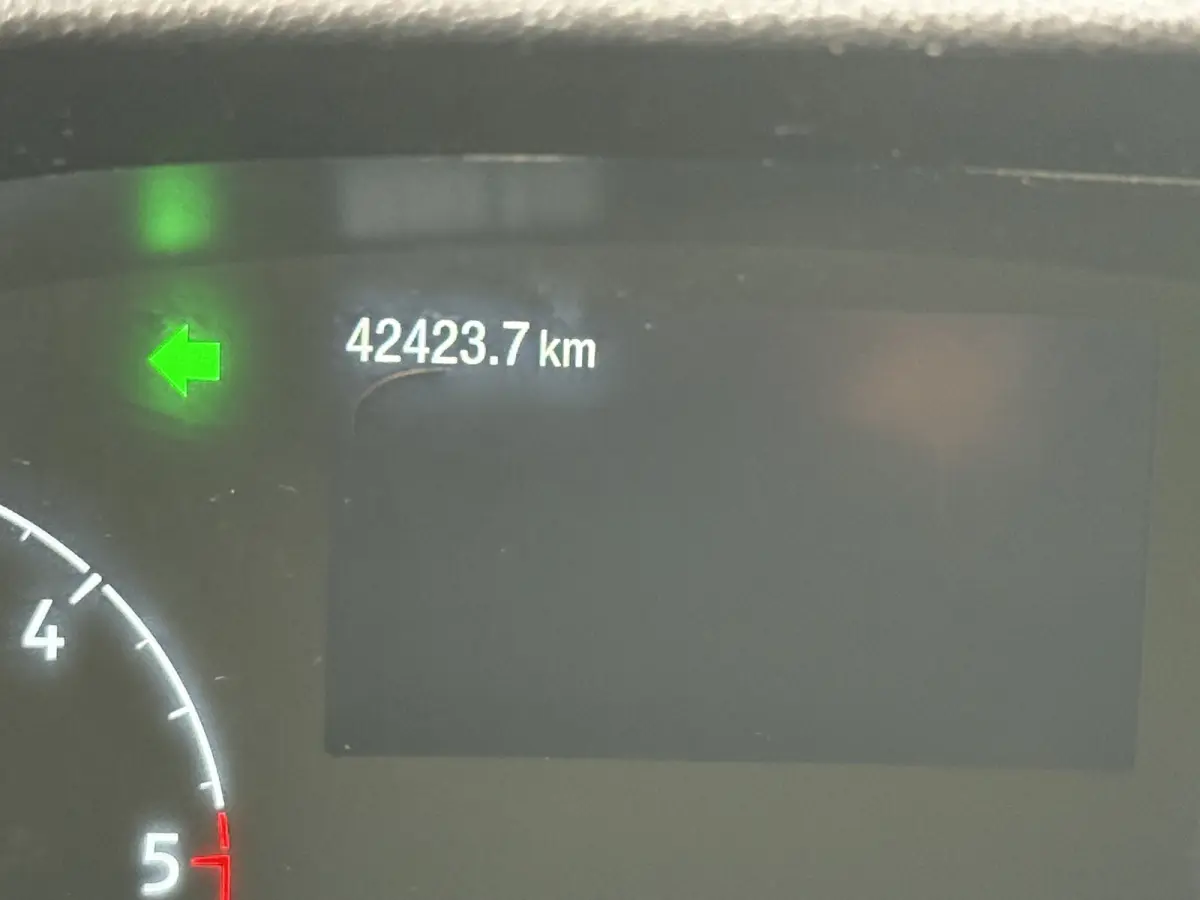 | HORSETRUCK | STX | STALLION 3XL | 2024 | AUTOMATIC | EURO 6 | HENGST | L3 | 42.423KM | LUXE | BELGISCH KENTEKEN