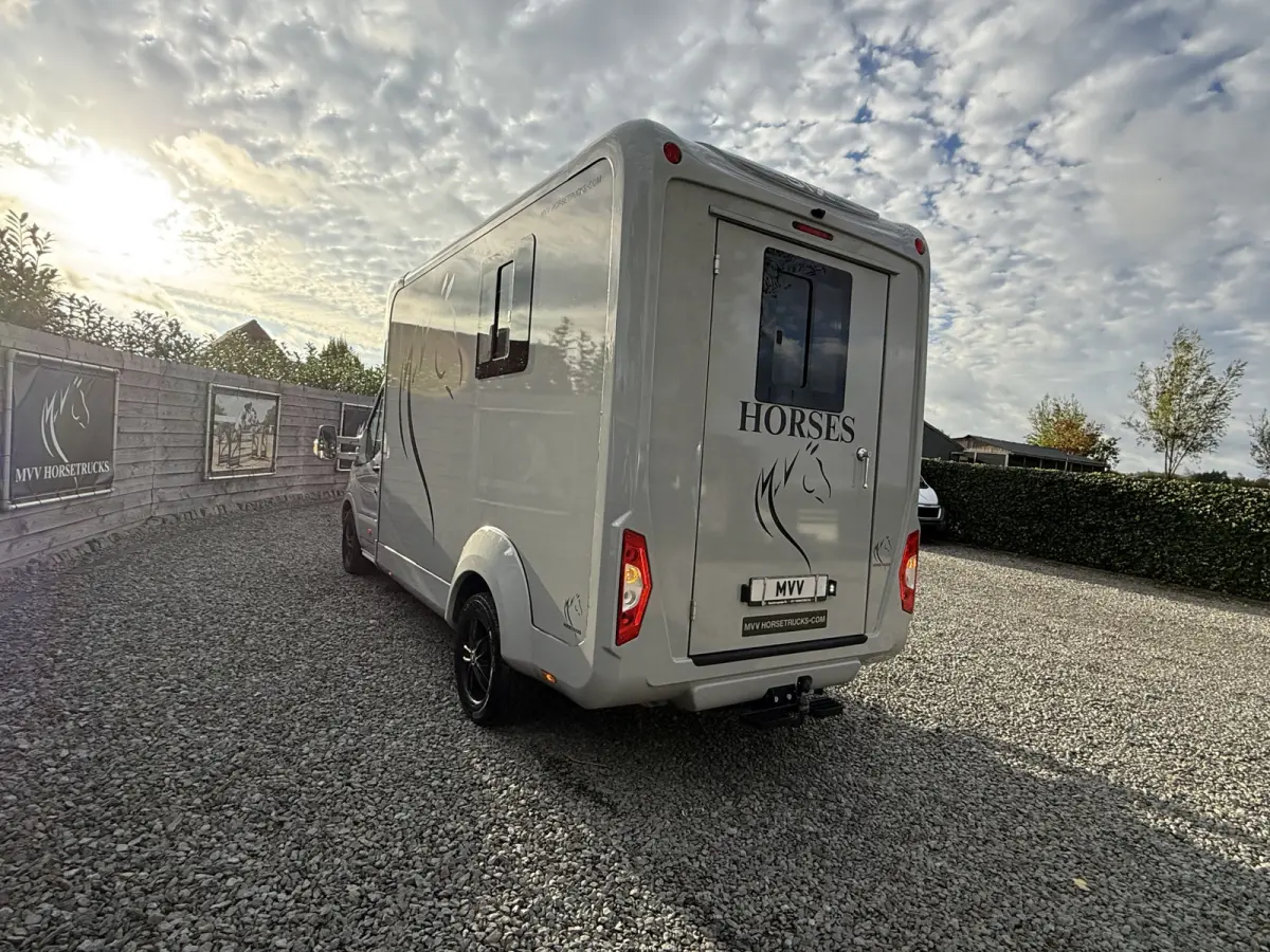 | HORSETRUCK | STX | STALLION 3XL | 2024 | AUTOMATIC | EURO 6 | HENGST | L3 | 42.423KM | LUXE | BELGISCH KENTEKEN