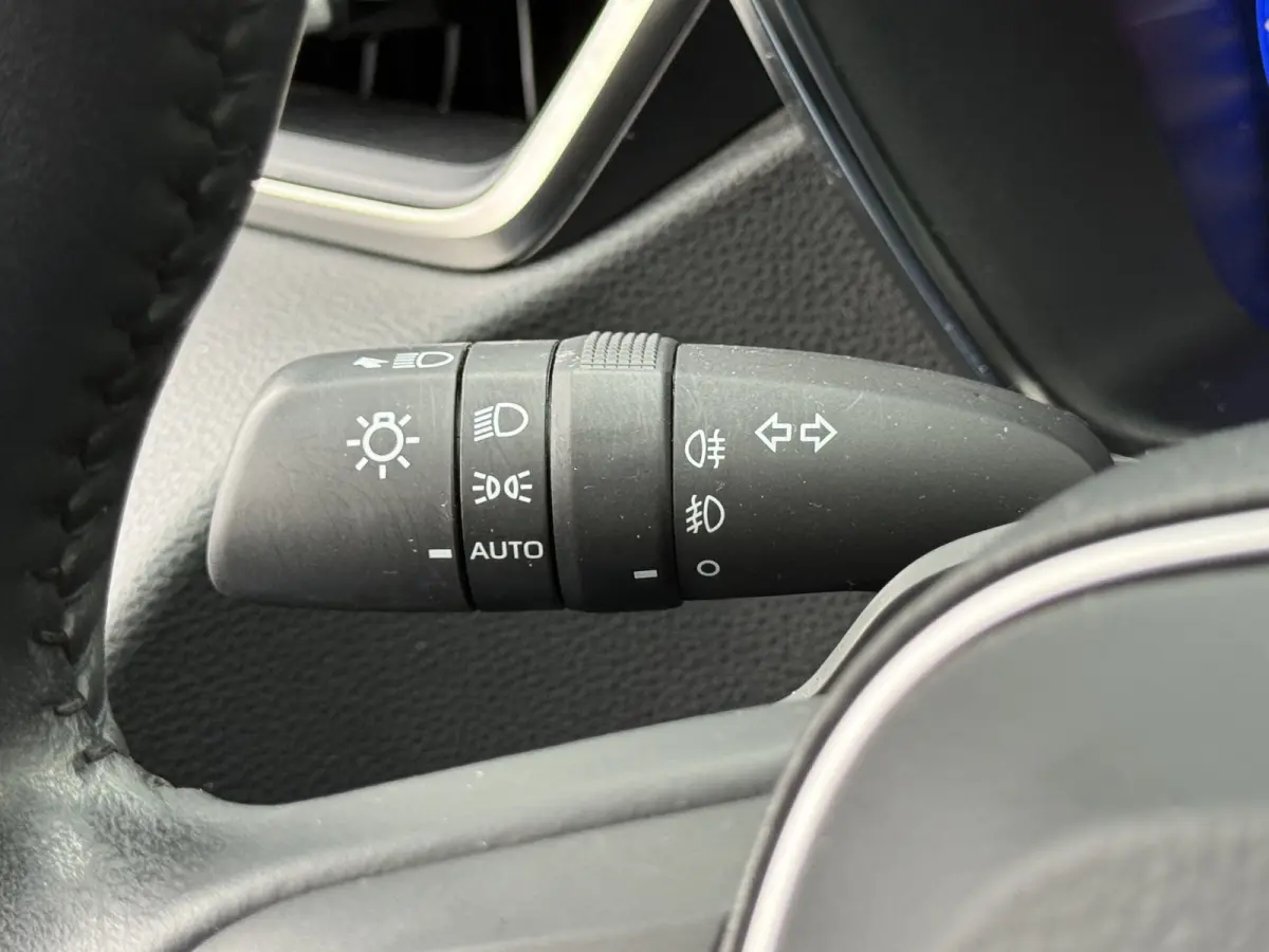 2.0 Hybrid Team D | ACC | CarPlay | Camera | Dodehoek | Keyless