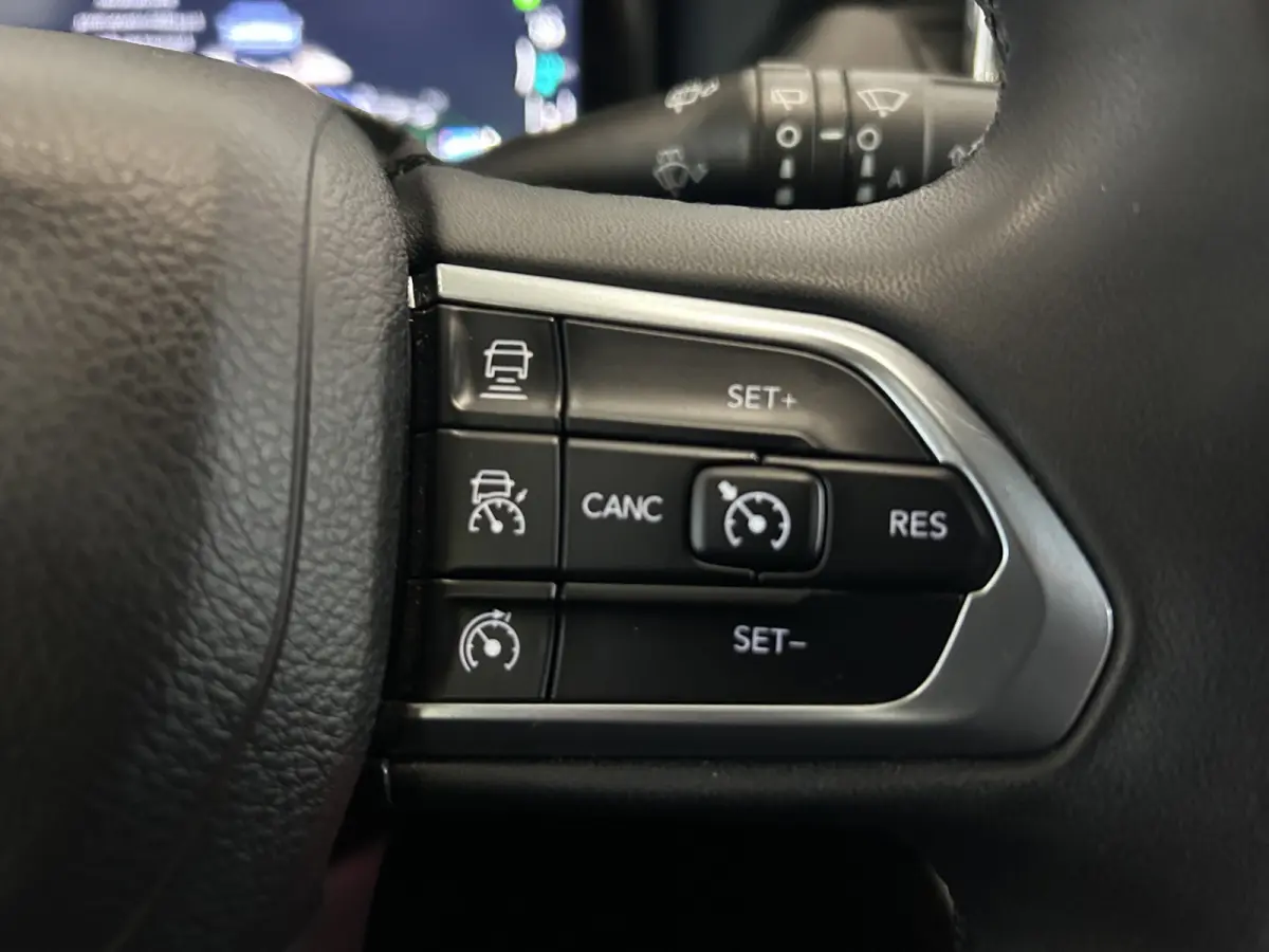 4xe Plug-in Hybrid Night Eagle, NAP, Apple ect.
