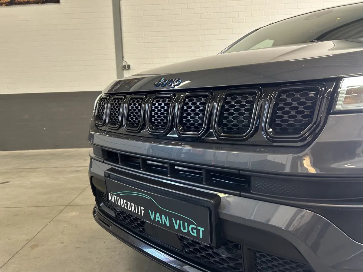 4xe Plug-in Hybrid Night Eagle, NAP, Apple ect.