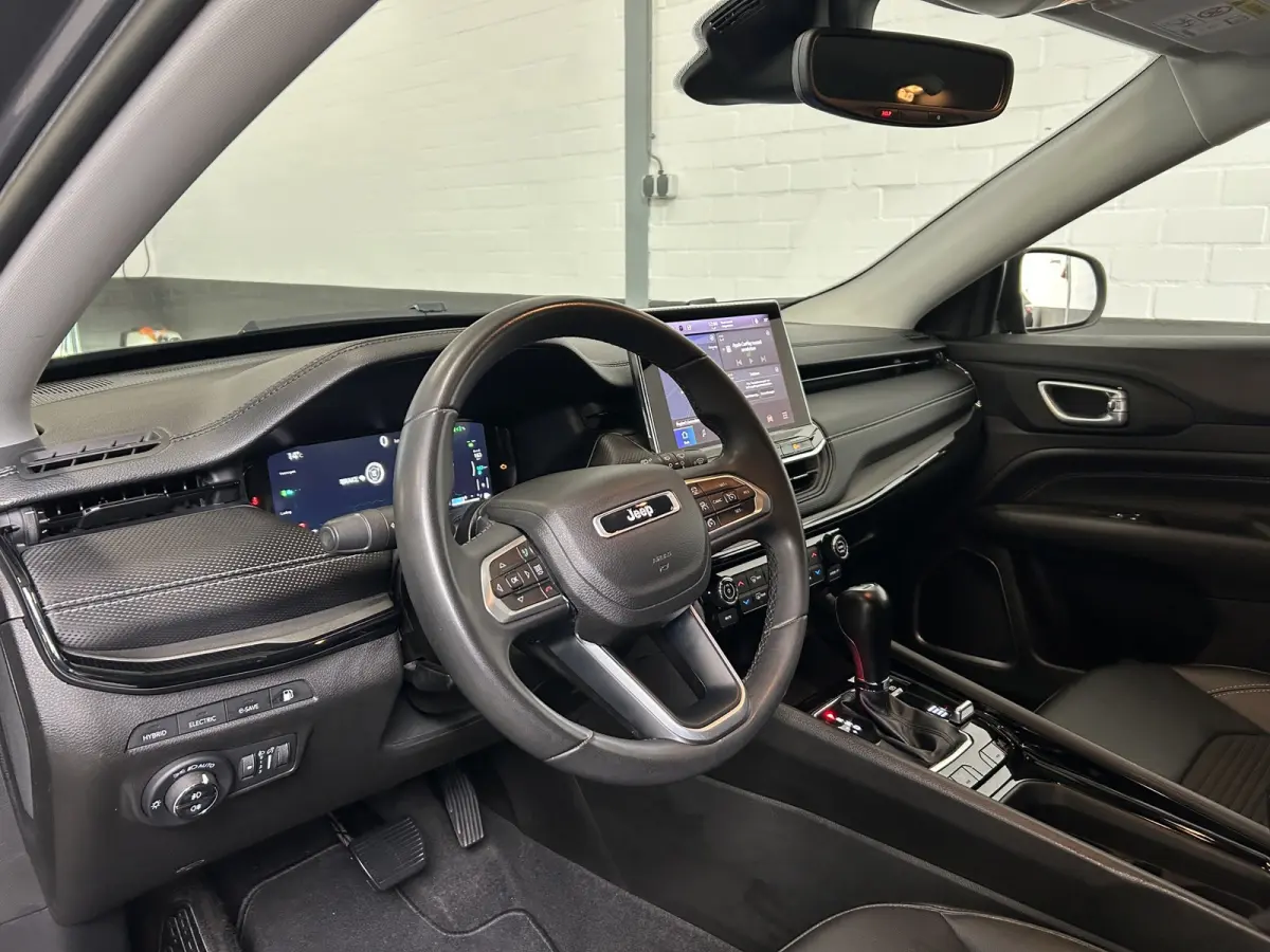 4xe Plug-in Hybrid Night Eagle, NAP, Apple ect.
