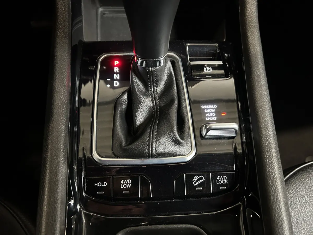 4xe Plug-in Hybrid Night Eagle, NAP, Apple ect.