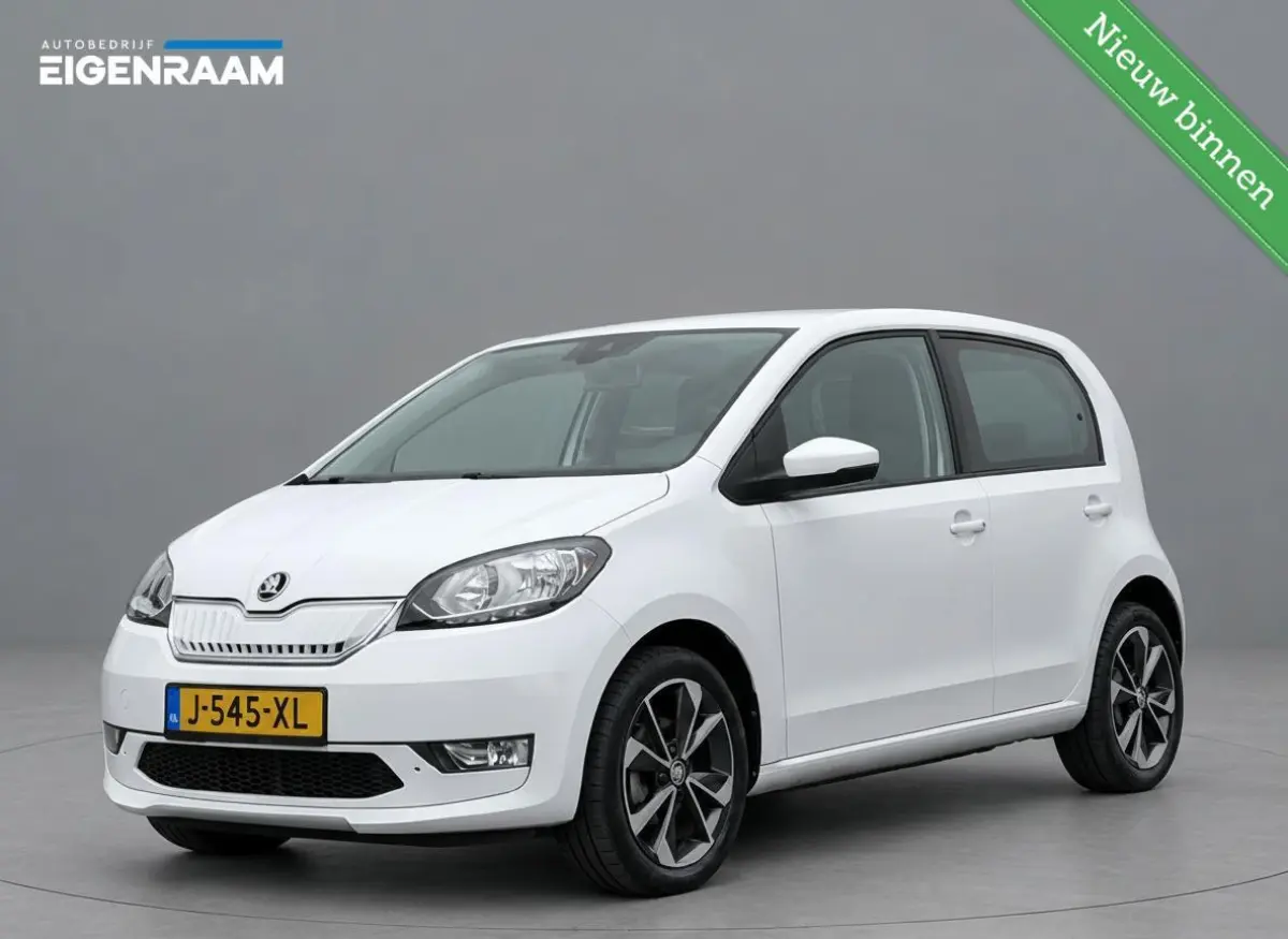 EV Style SOH 95,6% | 26.000KM | Sportstoelen | Climate Control | Cruise Control | Rijklaarprijs EV Style