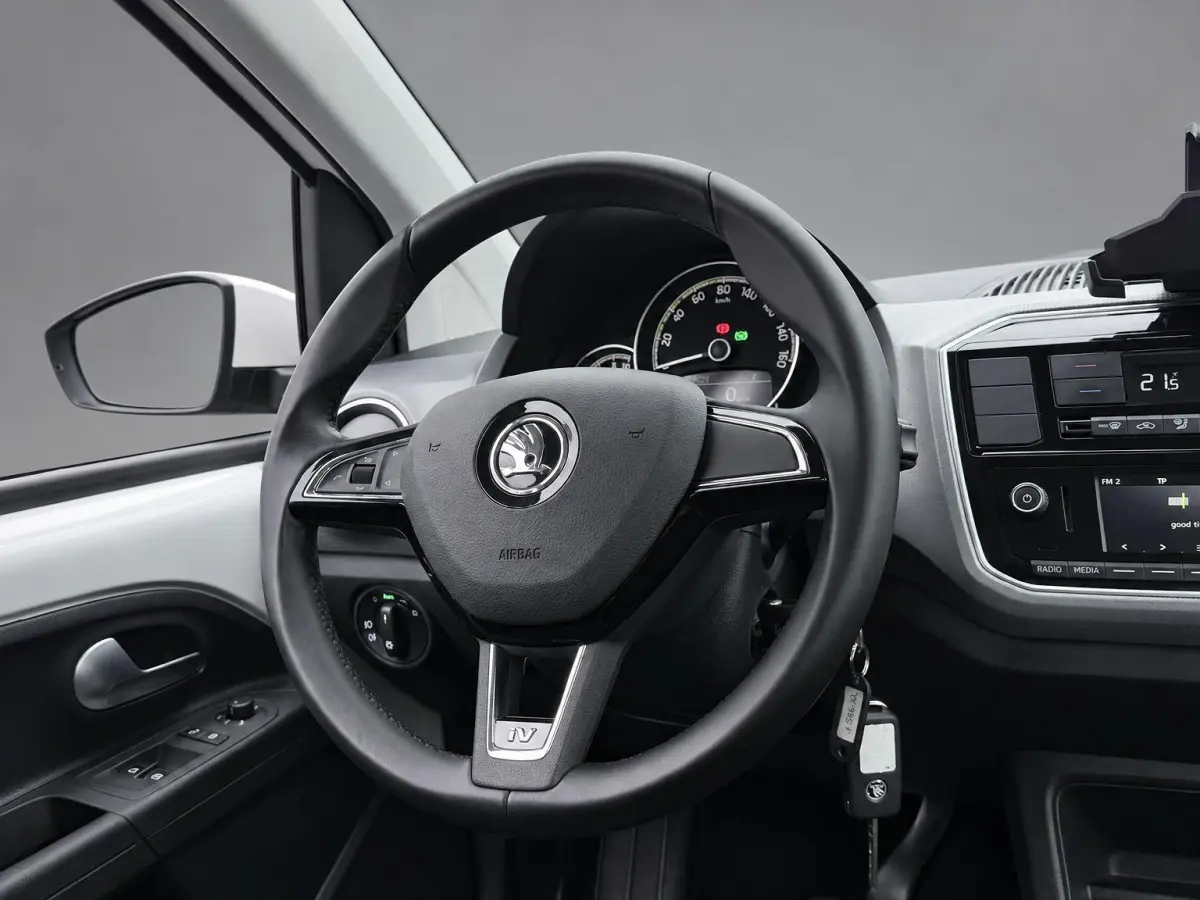 EV Style SOH 95,6% | 26.000KM | Sportstoelen | Climate Control | Cruise Control | Rijklaarprijs EV Style