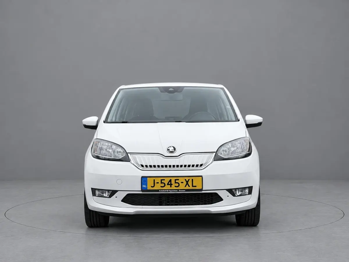 EV Style SOH 95,6% | 26.000KM | Sportstoelen | Climate Control | Cruise Control | Rijklaarprijs EV Style