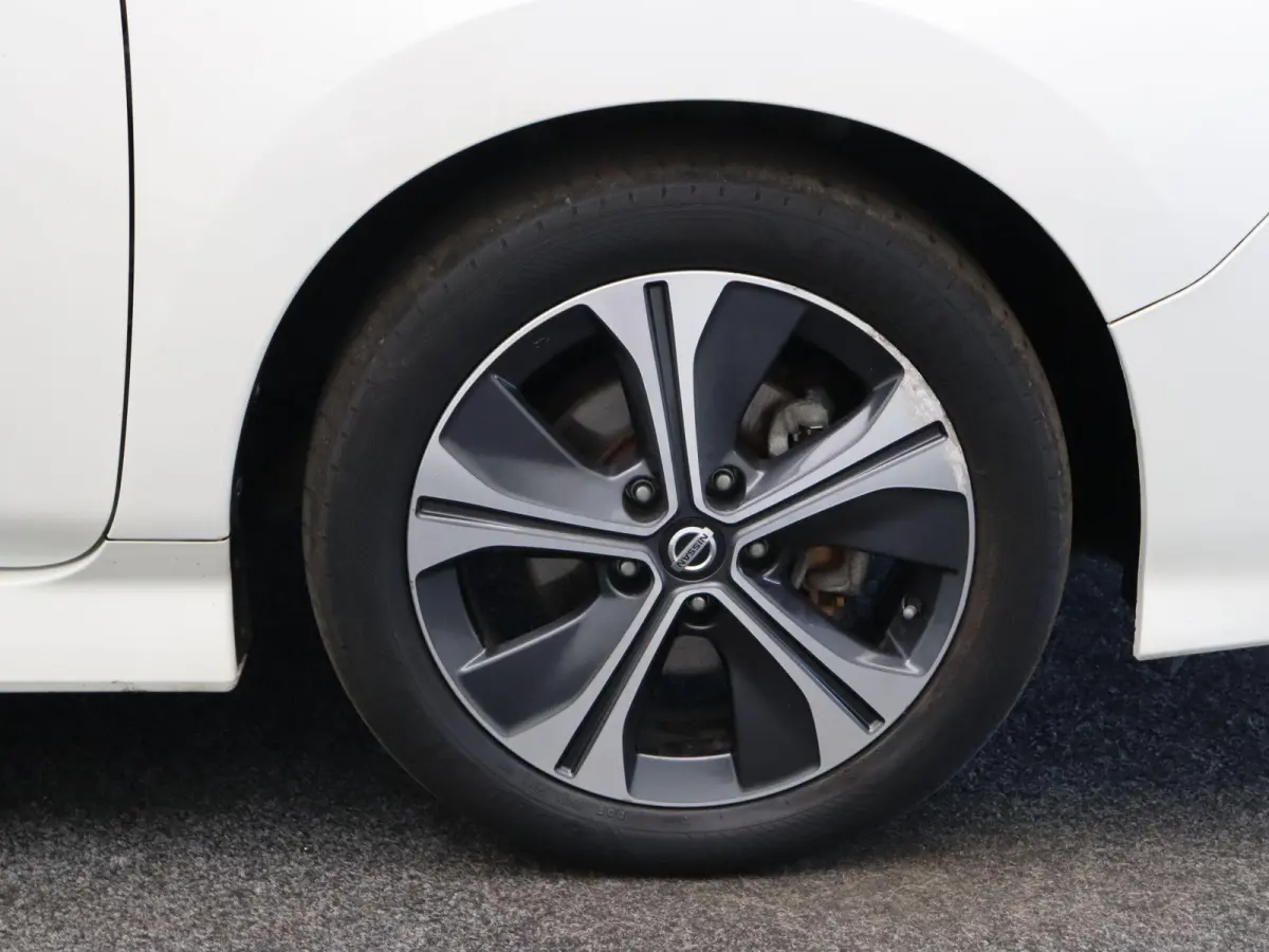 Tekna 40 kWh | Bose Premium Audio | 87% SoH | Adaptive cruise control | Lederen bekleding | Climate control | Stoel en stuurverwarming |