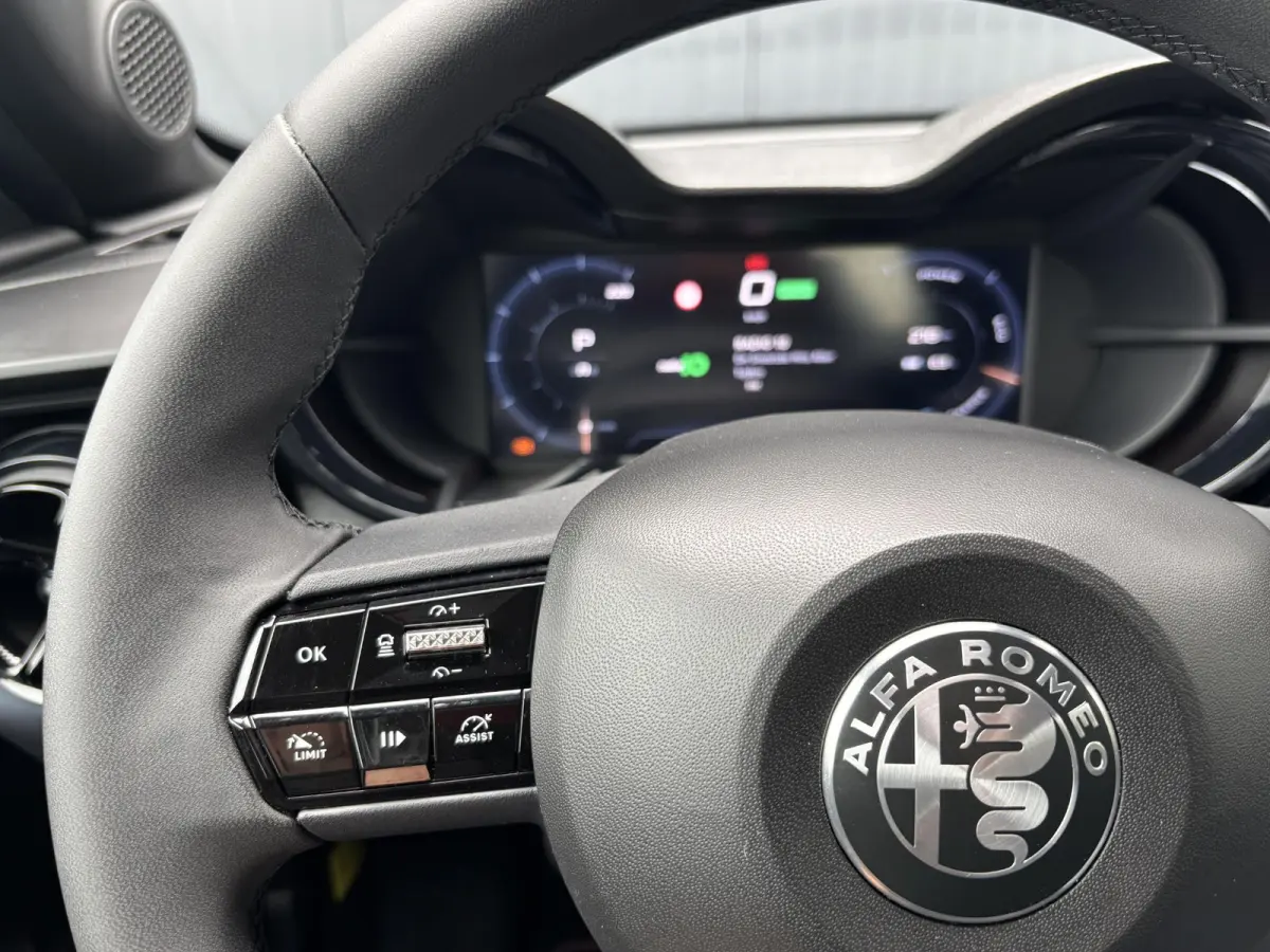 Elettrica 54 kWh | ACCU 97% | AppleCarPlay/Android | Parkeersensoren | Climate | Cruise