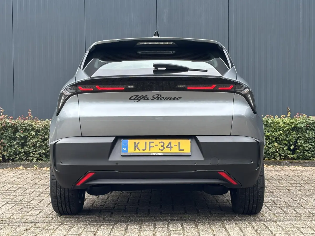 Elettrica 54 kWh | ACCU 97% | AppleCarPlay/Android | Parkeersensoren | Climate | Cruise