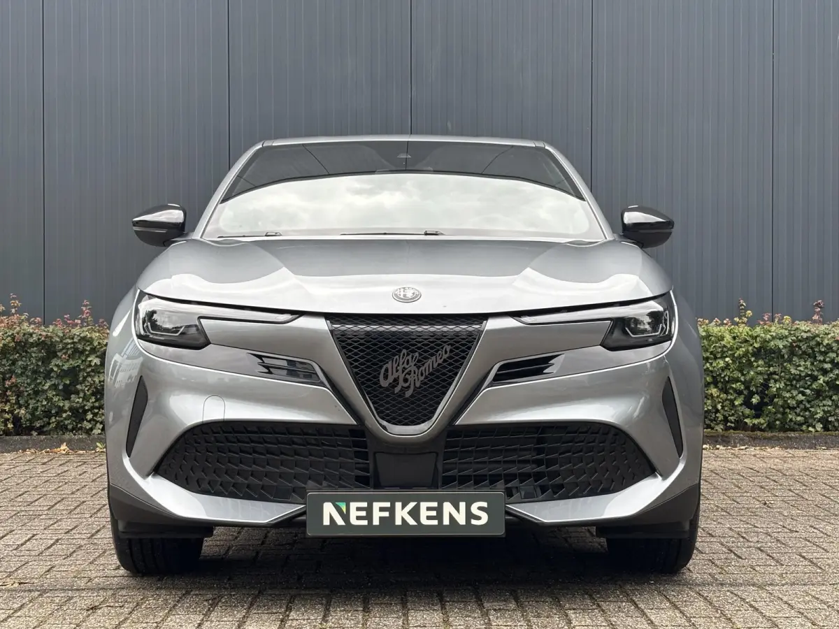 Elettrica 54 kWh | ACCU 97% | AppleCarPlay/Android | Parkeersensoren | Climate | Cruise