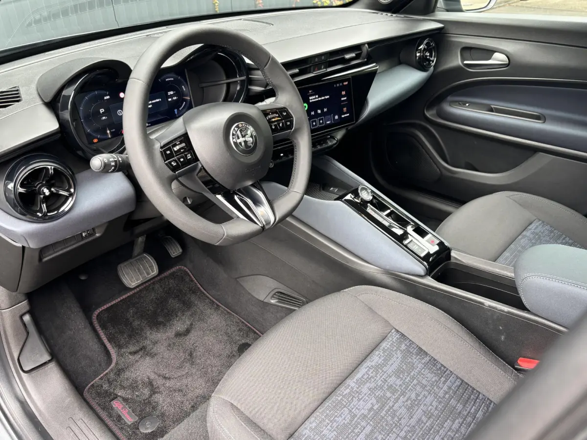 Elettrica 54 kWh | ACCU 97% | AppleCarPlay/Android | Parkeersensoren | Climate | Cruise
