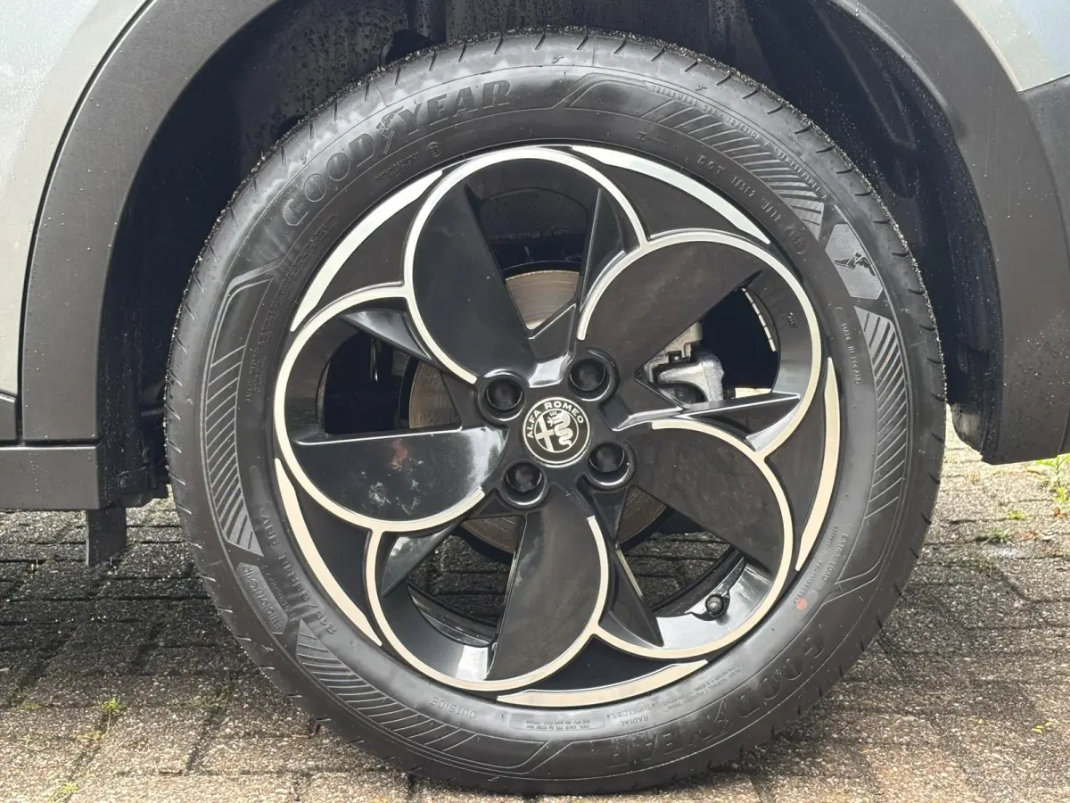 Elettrica 54 kWh | ACCU 97% | AppleCarPlay/Android | Parkeersensoren | Climate | Cruise