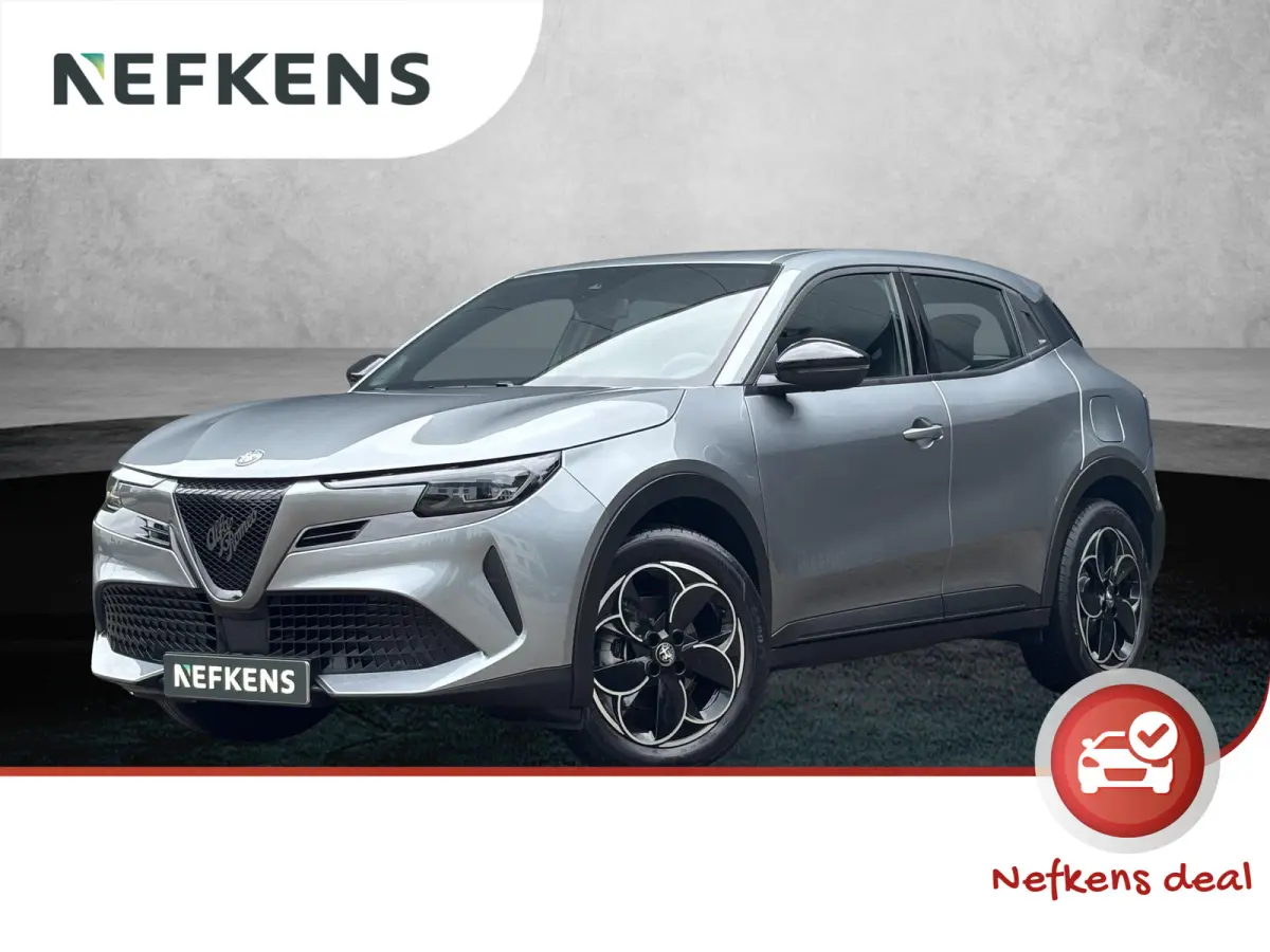 Elettrica 54 kWh | ACCU 97% | AppleCarPlay/Android | Parkeersensoren | Climate | Cruise