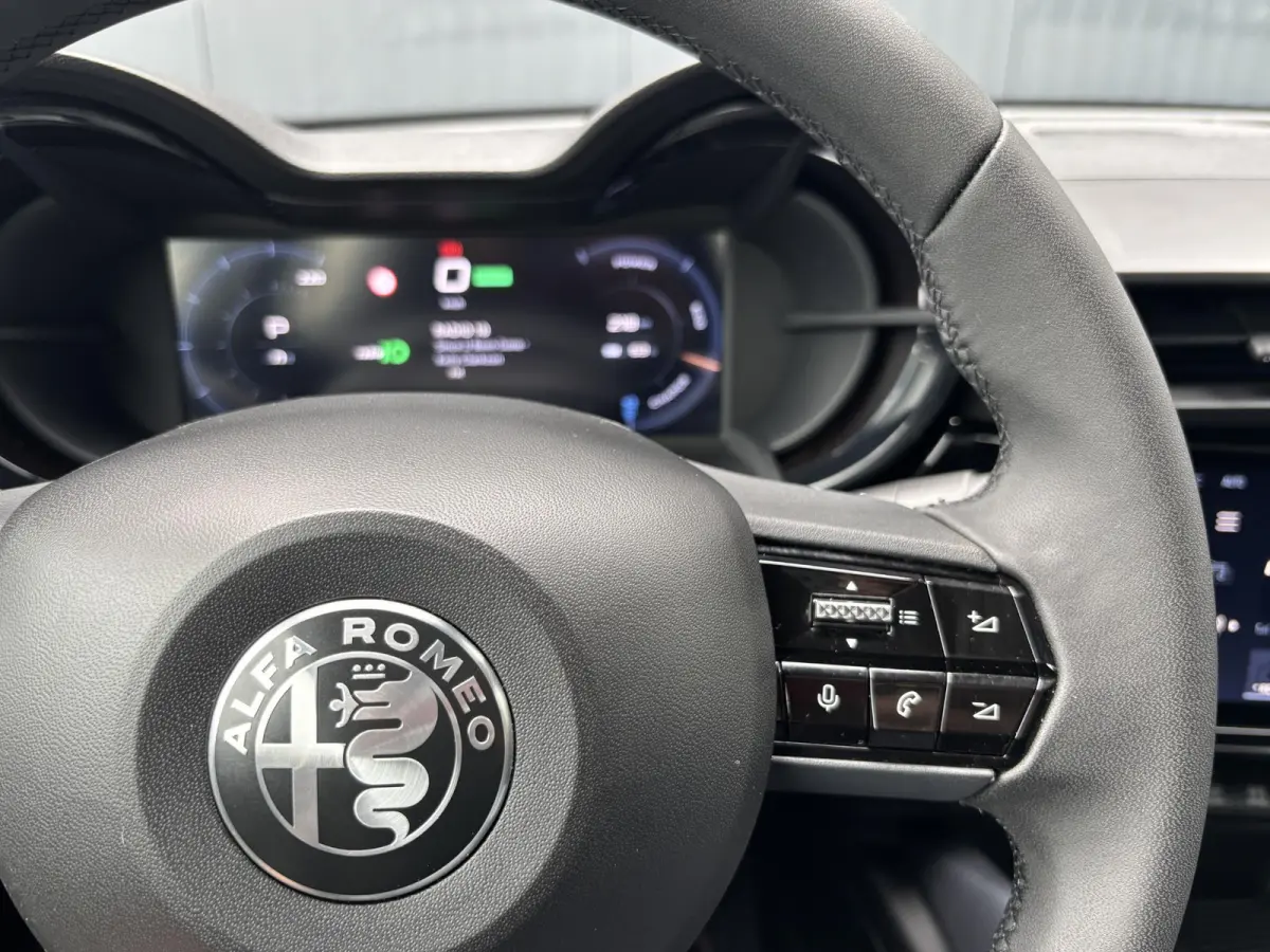 Elettrica 54 kWh | ACCU 97% | AppleCarPlay/Android | Parkeersensoren | Climate | Cruise