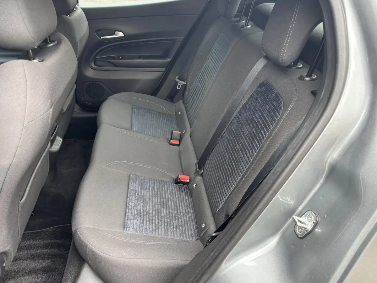Elettrica 54 kWh | ACCU 97% | AppleCarPlay/Android | Parkeersensoren | Climate | Cruise