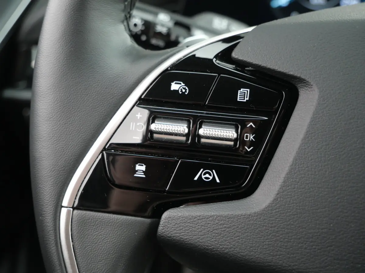 Plus 64.8 kWh 204 Pk Automaat Navi / DAB / Camera / Leer / Apple Carplay / SOH 98,3%