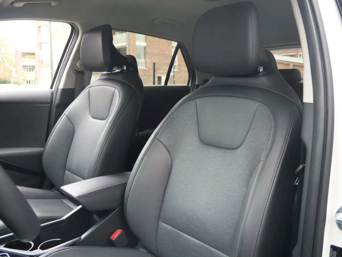 Plus 64.8 kWh 204 Pk Automaat Navi / DAB / Camera / Leer / Apple Carplay / SOH 98,3%