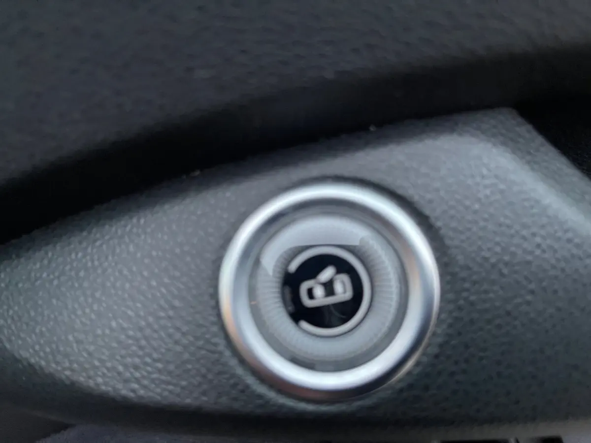Icon 42 kWh Appel&Carplay Navigatie