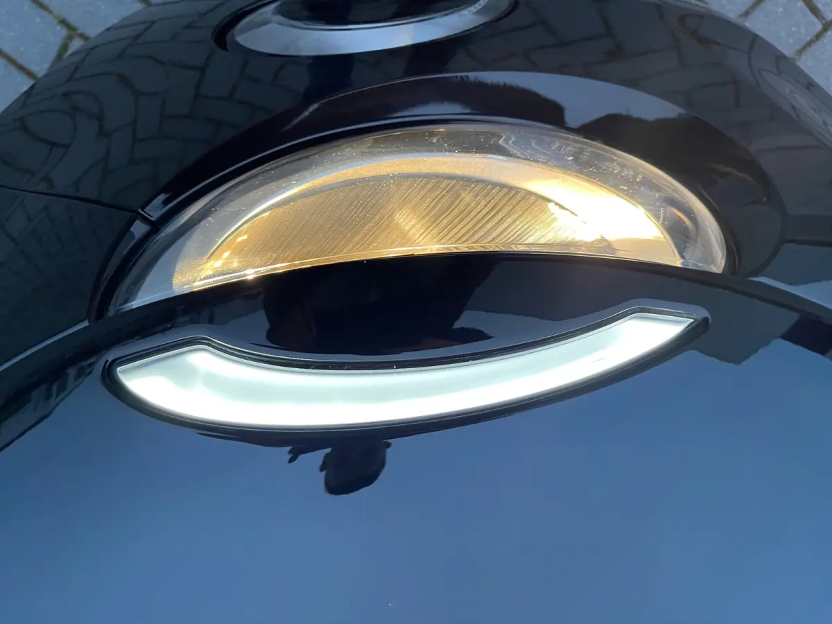 Icon 42 kWh Appel&Carplay Navigatie
