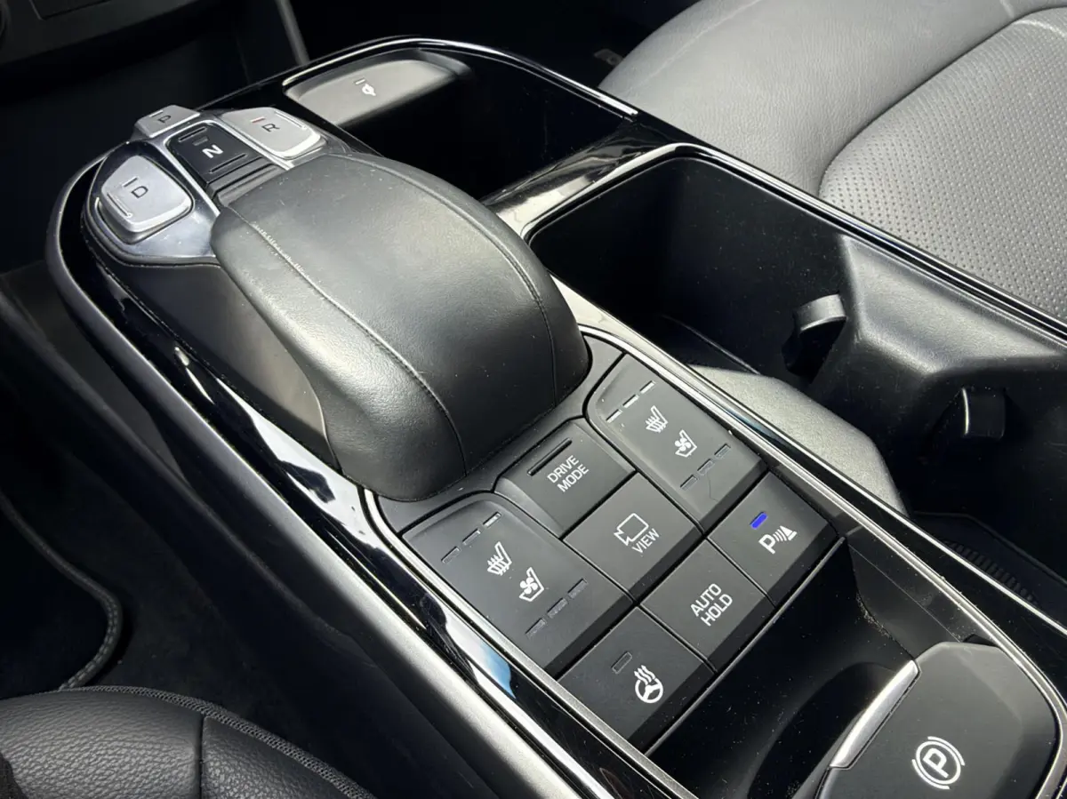 Premium EV 38 kWh Carplay|Leder|Camera|Warmtepomp